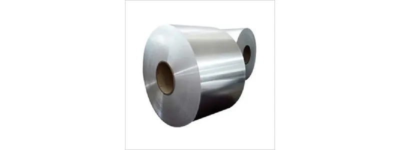 Stainless Steel 301 LN Coils Exporter in indonesia manufacturer supplier exporter India - Ferro Fittings and Alloys
