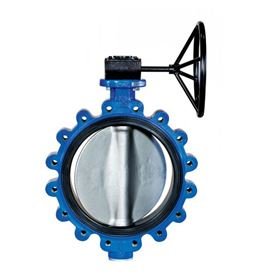 Lug Type Butterfly Valve Manufacturer in India